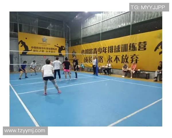 上海排球队的比赛经验分享与成长之路探讨