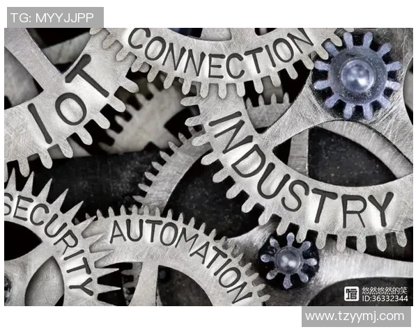 上海攀岩队整体压制革新之路探索与实践的深度剖析