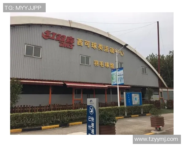 上海羽毛球队在阵地战中的表现分析与未来展望 上海羽毛球队在阵地战中的表现分析与未来展望