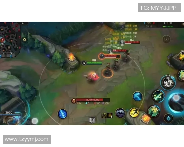 从零起步掌握英雄联盟全方位技术攻略与实战技巧解析