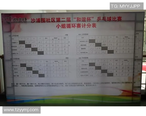 吴丽独家分享乒乓球技巧与心得助你提升球技的全方位指南 吴丽独家分享乒乓球技巧与心得助你提升球技的全方位指南