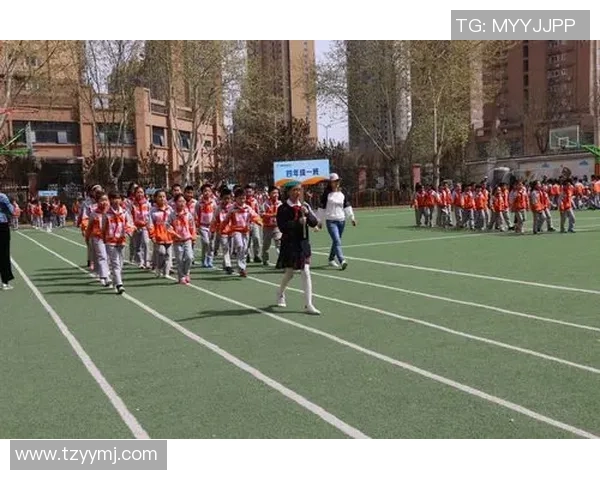 张磊的排球人生深度对话探索运动背后的坚持与梦想 张磊的排球人生深度对话探索运动背后的坚持与梦想