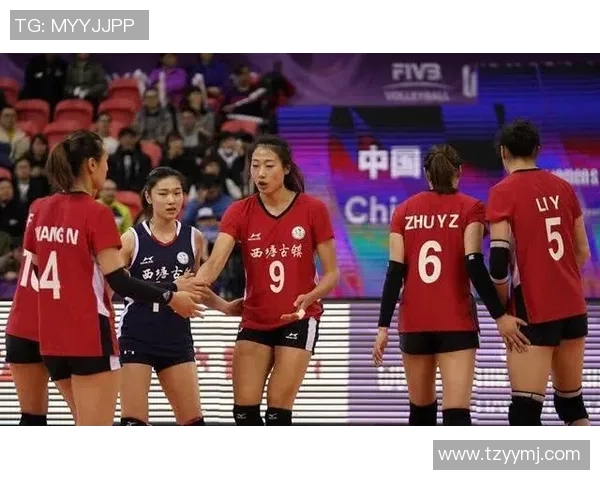武汉排球队控制打法深度解析与战术应用探讨 武汉排球队控制打法深度解析与战术应用探讨
